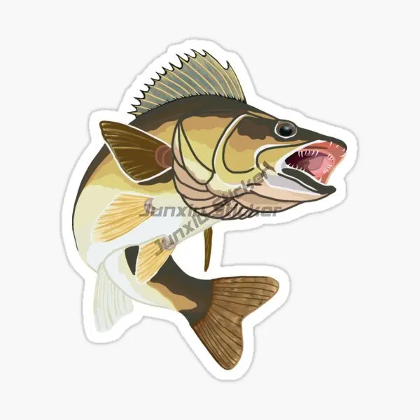 Carp Fishing Fun PVC Car Stickers Accessories Vinyl Self-adhesive Car Decal
Carp Fishing Fun PVC Car Stickers Accessories Vinyl Self-adhesive Car Decal