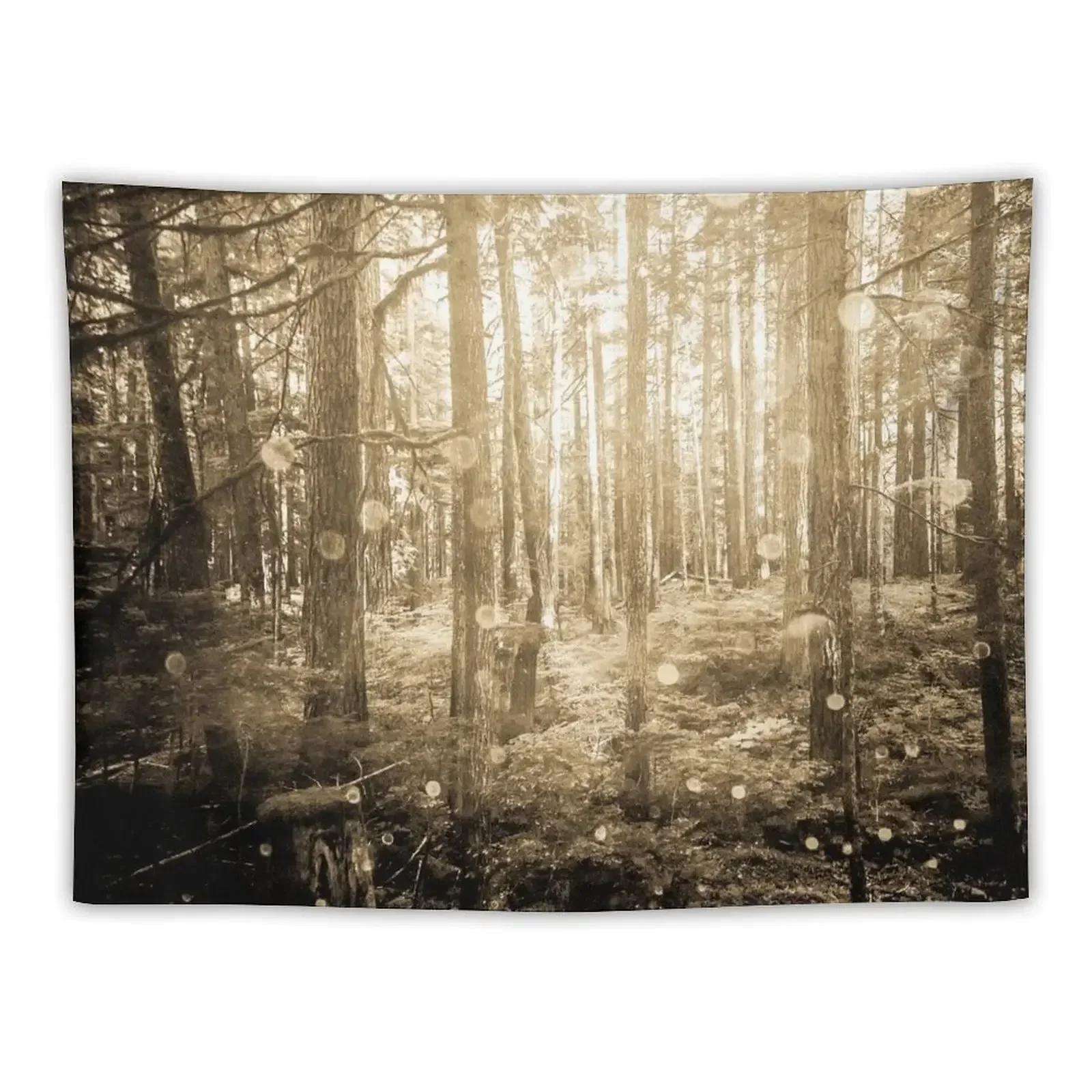Max Holloway Best Is Blessed Fighter Art Tapestry Home Decor Accessories Carpet On The Wall Home Decoration Accessories Tapestry
Max Holloway Best Is Blessed Fighter Art Tapestry Home Decor Accessories Carpet On The Wall Home Decoration Accessories Tapestry