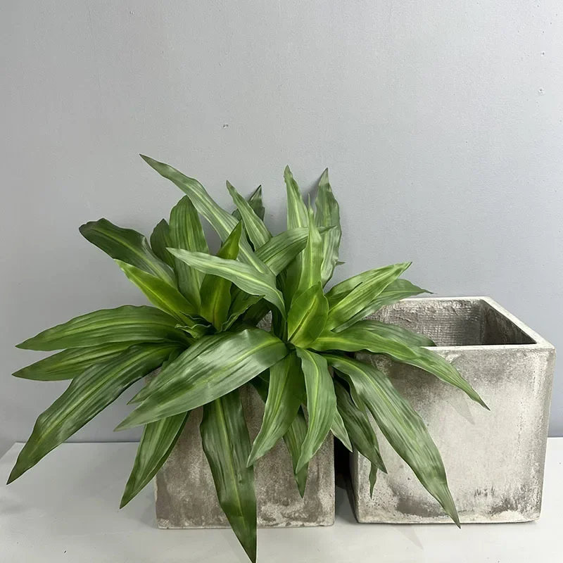Simulation Plants Plastic 20 Leaves Brazilian Beauty Tequila Wedding Decor Artificial Green Plant Leaf Restaurant Decoration
Simulation Plants Plastic 20 Leaves Brazilian Beauty Tequila Wedding Decor Artificial Green Plant Leaf Restaurant Decoration