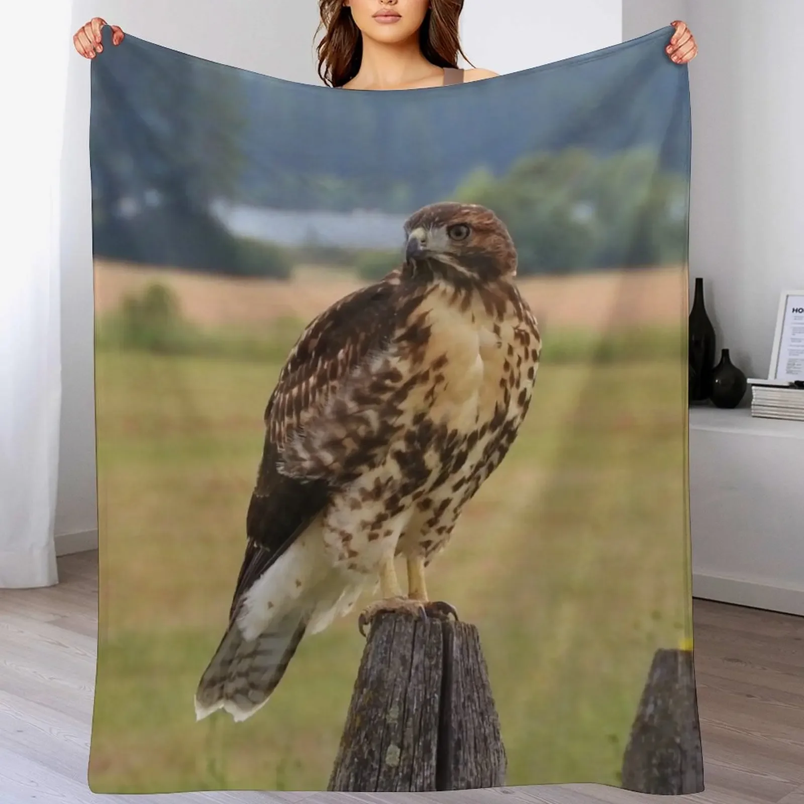 Red-Tailed Hawk Throw Blanket Comforter heavy to sleep Blankets For Bed blankets and throws Blankets
Red-Tailed Hawk Throw Blanket Comforter heavy to sleep Blankets For Bed blankets and throws Blankets