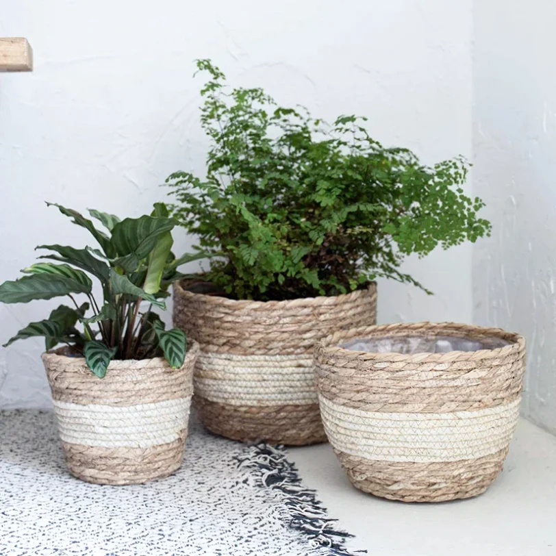 Seagrass Planter Basket Flower Pots Cover Storage Basket Plant Containers Hand Woven Basket Planter For Modern Home Decor
Seagrass Planter Basket Flower Pots Cover Storage Basket Plant Containers Hand Woven Basket Planter For Modern Home Decor