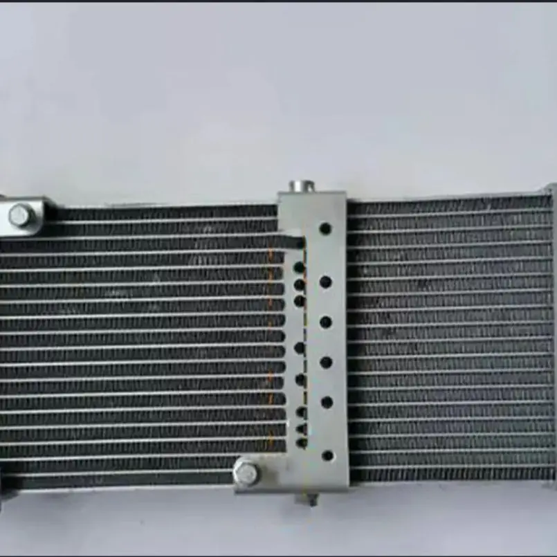 Motorcycle Engine Parts Water Cooler Radiator For Regal Raptor DD250E-9A 350E-6C Engine