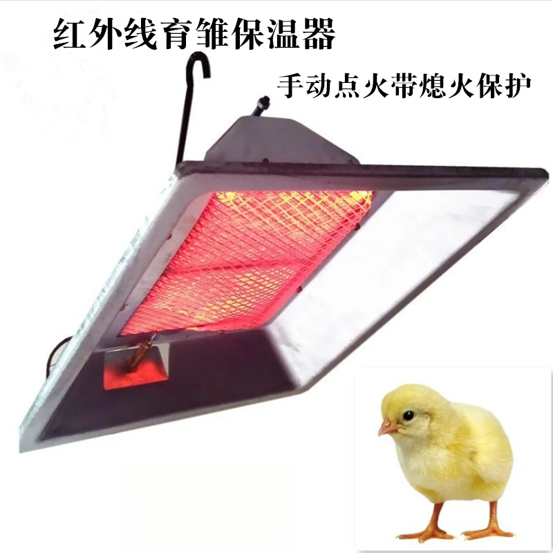 2025Automatic Steel Gas Brooder Equipment Infrared Heater Lamp Chicken Brooder for Farm Chick Warming
2025Automatic Steel Gas Brooder Equipment Infrared Heater Lamp Chicken Brooder for Farm Chick Warming