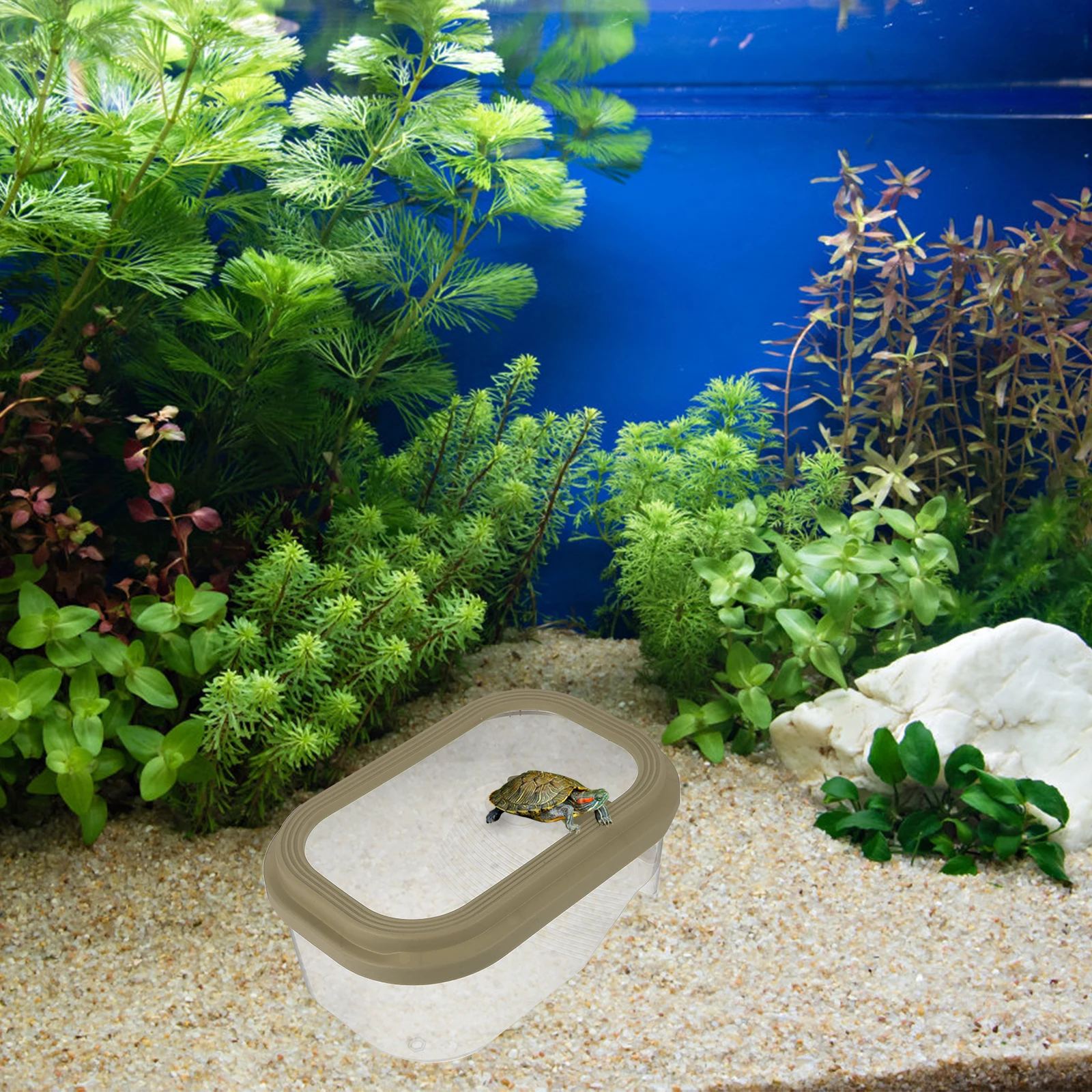 Extra Large Tank Basking Platform Reptile Aquarium Spacious Aquatic Design For Home Use Cage
Extra Large Tank Basking Platform Reptile Aquarium Spacious Aquatic Design For Home Use Cage