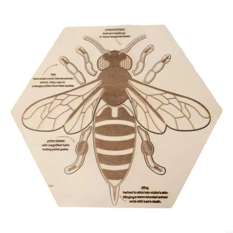 F62D Cartoon Puzzles Board Learning Educational Toy for Children Baby 
F62D Cartoon Puzzles Board Learning Educational Toy for Children Baby