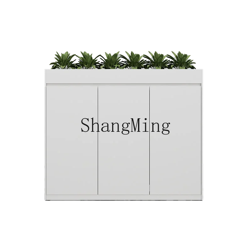 DHY Side Office Storage Partition Cabinet Storage Information Wooden Office Short Cabinet
DHY Side Office Storage Partition Cabinet Storage Information Wooden Office Short Cabinet