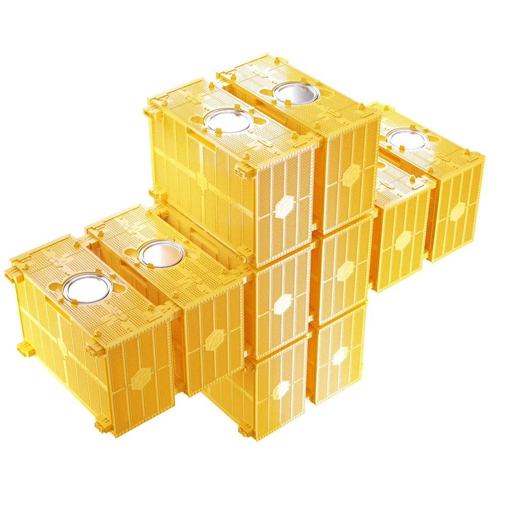 Benefitbee Queen Bee Transport Cage Newest Plastic Beekeeping Tool Bee Colony Removing Apiculture Supplies
Benefitbee Queen Bee Transport Cage Newest Plastic Beekeeping Tool Bee Colony Removing Apiculture Supplies