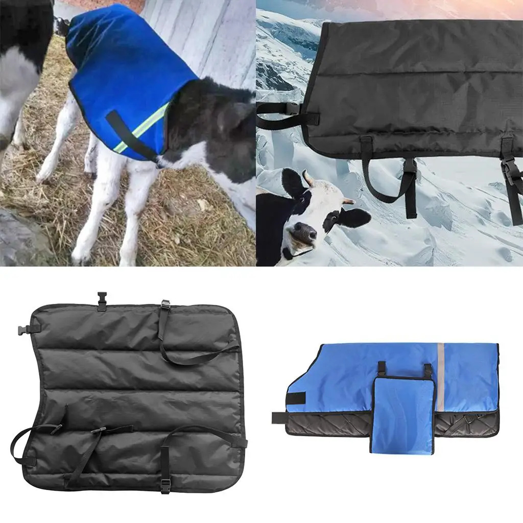 Новая теплая куртка для новорожденных телят с фиксацией на ногах, хлопковое водонепроницаемое пальто для защиты сельскохозяйственных животных
Новая теплая куртка для новорожденных телят с фиксацией на ногах, хлопковое водонепроницаемое пальто для защиты сельскохозяйственных животных