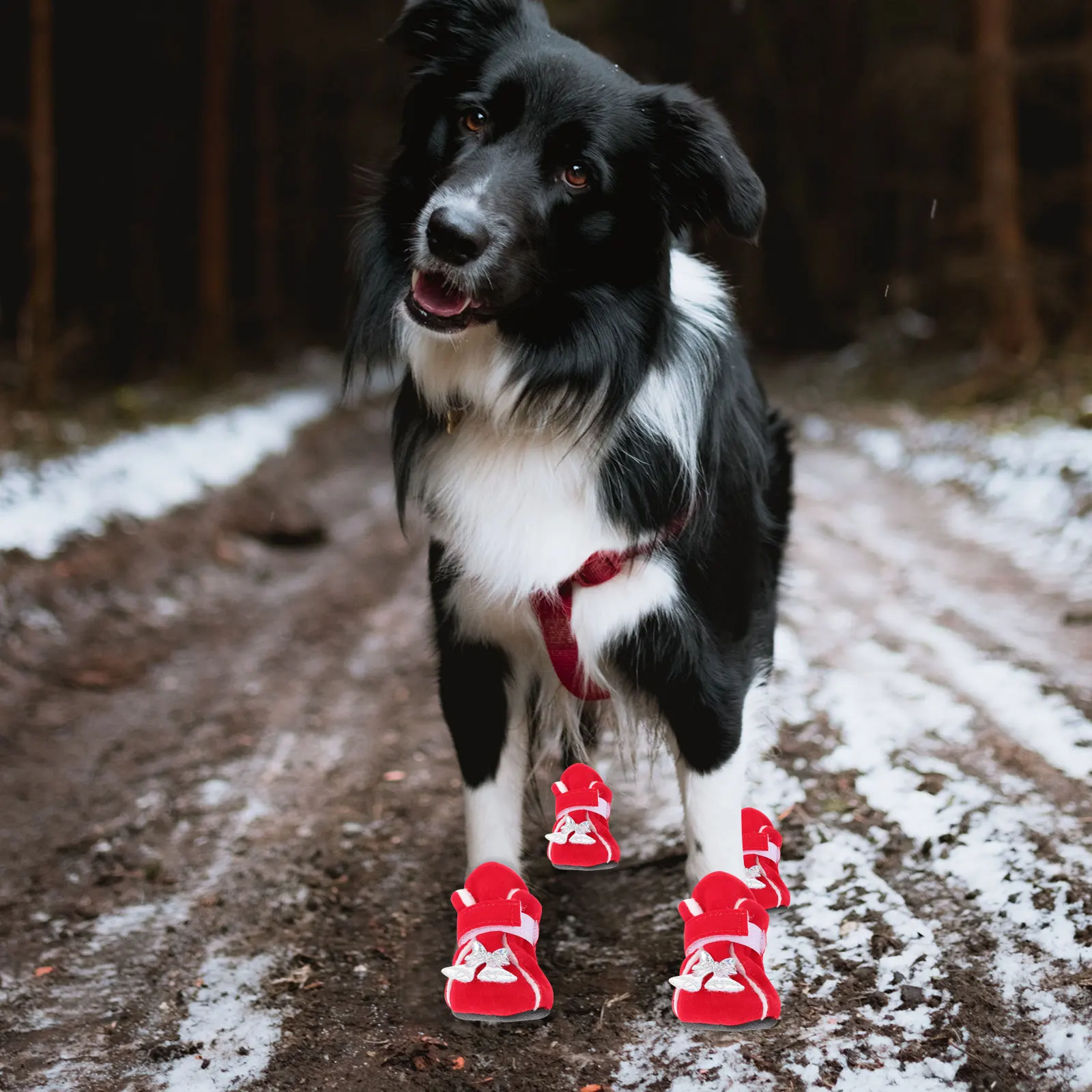 4 Pcs Pet Cotton Shoes Winter Warm Dog Xmas Boots Non-slip Outdoor Footwear Christmas
4 Pcs Pet Cotton Shoes Winter Warm Dog Xmas Boots Non-slip Outdoor Footwear Christmas