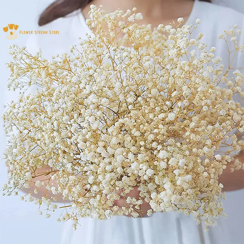 100g Natural Dried Flowers Baby Breath Flowers Bouquets Colorful Gypsophile Wedding Decoration Table and Room Nordic Home Decor
100g Natural Dried Flowers Baby Breath Flowers Bouquets Colorful Gypsophile Wedding Decoration Table and Room Nordic Home Decor