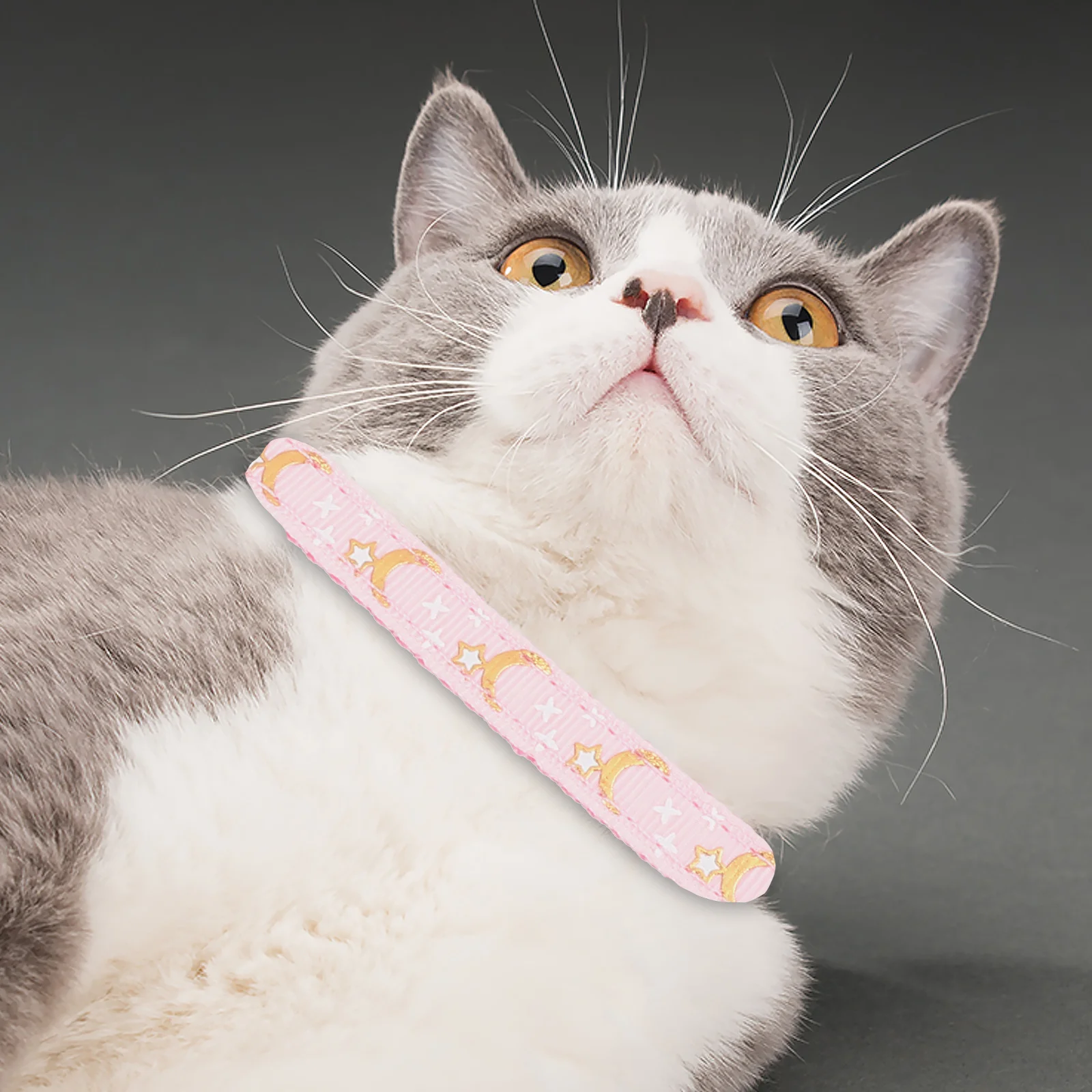 Stars Moon Cat Collar Adjustable Comfortable Kitten Safety Necktie Pendant For Cats Pet Kitten Collar Chic Party Wedding
Stars Moon Cat Collar Adjustable Comfortable Kitten Safety Necktie Pendant For Cats Pet Kitten Collar Chic Party Wedding