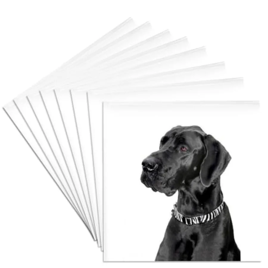 3dRose CST_1054_4 Набор из 8 керамических подставок под кружки Black Great Dane
3dRose CST_1054_4 Набор из 8 керамических подставок под кружки Black Great Dane