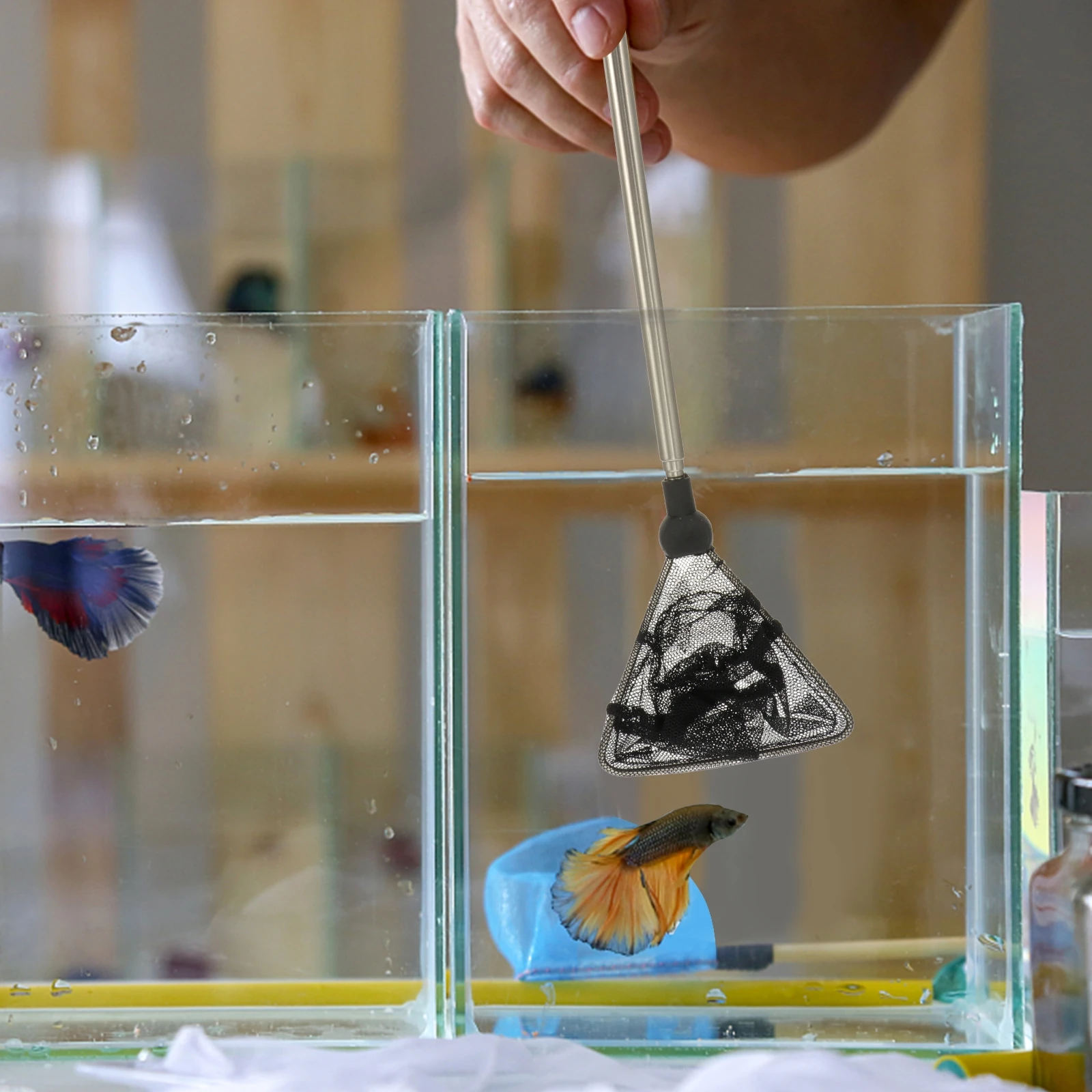 Retractable Extendable Stainless Steel Handle Nylon Mesh Skimmer For Fish Tank Aquarium Pond Shrimp Skimming Shrimp Fishing Mesh
Retractable Extendable Stainless Steel Handle Nylon Mesh Skimmer For Fish Tank Aquarium Pond Shrimp Skimming Shrimp Fishing Mesh