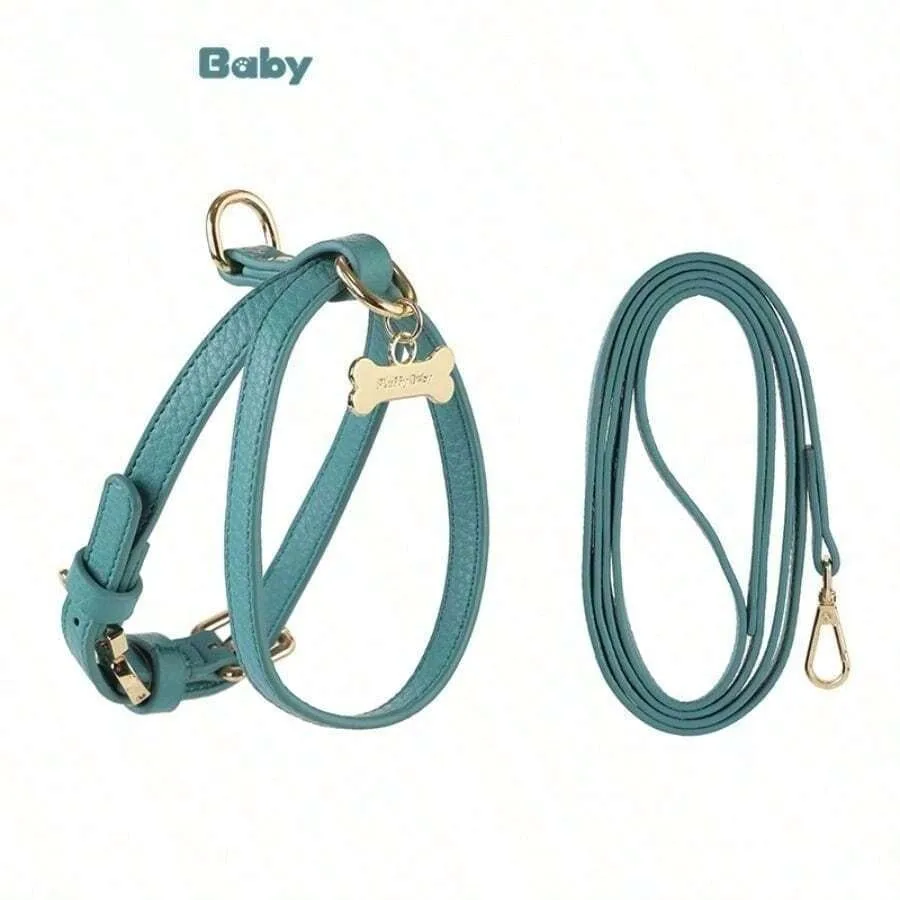 Pet Harness And Leash Set For Cats and Small Dogs, PU Leather No-Pull Walking Collar And Lead For Outdoor Travel, Comfortable S
Pet Harness And Leash Set For Cats and Small Dogs, PU Leather No-Pull Walking Collar And Lead For Outdoor Travel, Comfortable S