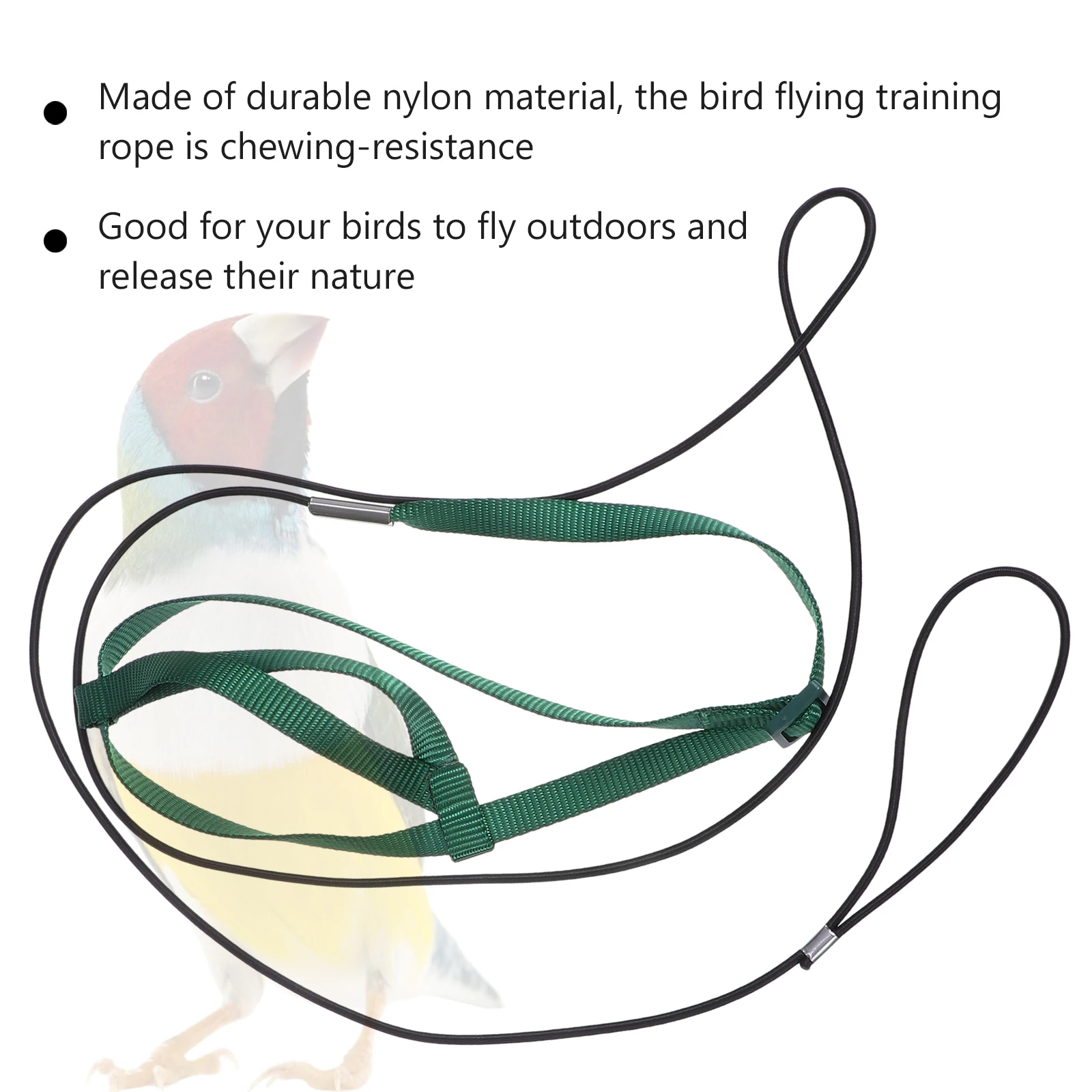 Harness Leash Pet Supplies Bird Flying Rope For Birds Parrot Nylon Traction
Harness Leash Pet Supplies Bird Flying Rope For Birds Parrot Nylon Traction
