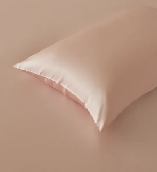 22 Momme 100% Pure Mulberry Silk Pillowcase With Hidden Zipper,6A High-Grade Fibers With OEKO-TEX,Front In Silk & Back In Tencel
22 Momme 100% Pure Mulberry Silk Pillowcase With Hidden Zipper,6A High-Grade Fibers With OEKO-TEX,Front In Silk & Back In Tencel