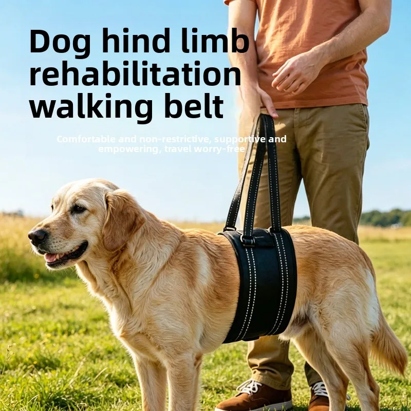 Dog Lift Harness Support, Adjustable Walking Aid for Injured Elderly Dogs, Outdoor Rehabilitation Leash
Dog Lift Harness Support, Adjustable Walking Aid for Injured Elderly Dogs, Outdoor Rehabilitation Leash