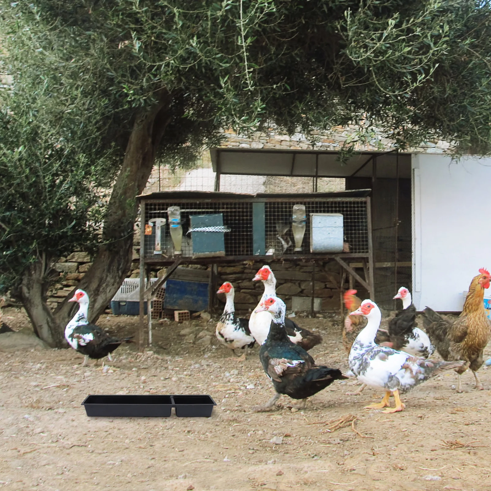 2Pcs Poultry Feeding Containers High Quality Plastic Chicken Food Troughs Easy Clean Anti-Drop Feeding Bowls for Bird Pigeon
2Pcs Poultry Feeding Containers High Quality Plastic Chicken Food Troughs Easy Clean Anti-Drop Feeding Bowls for Bird Pigeon