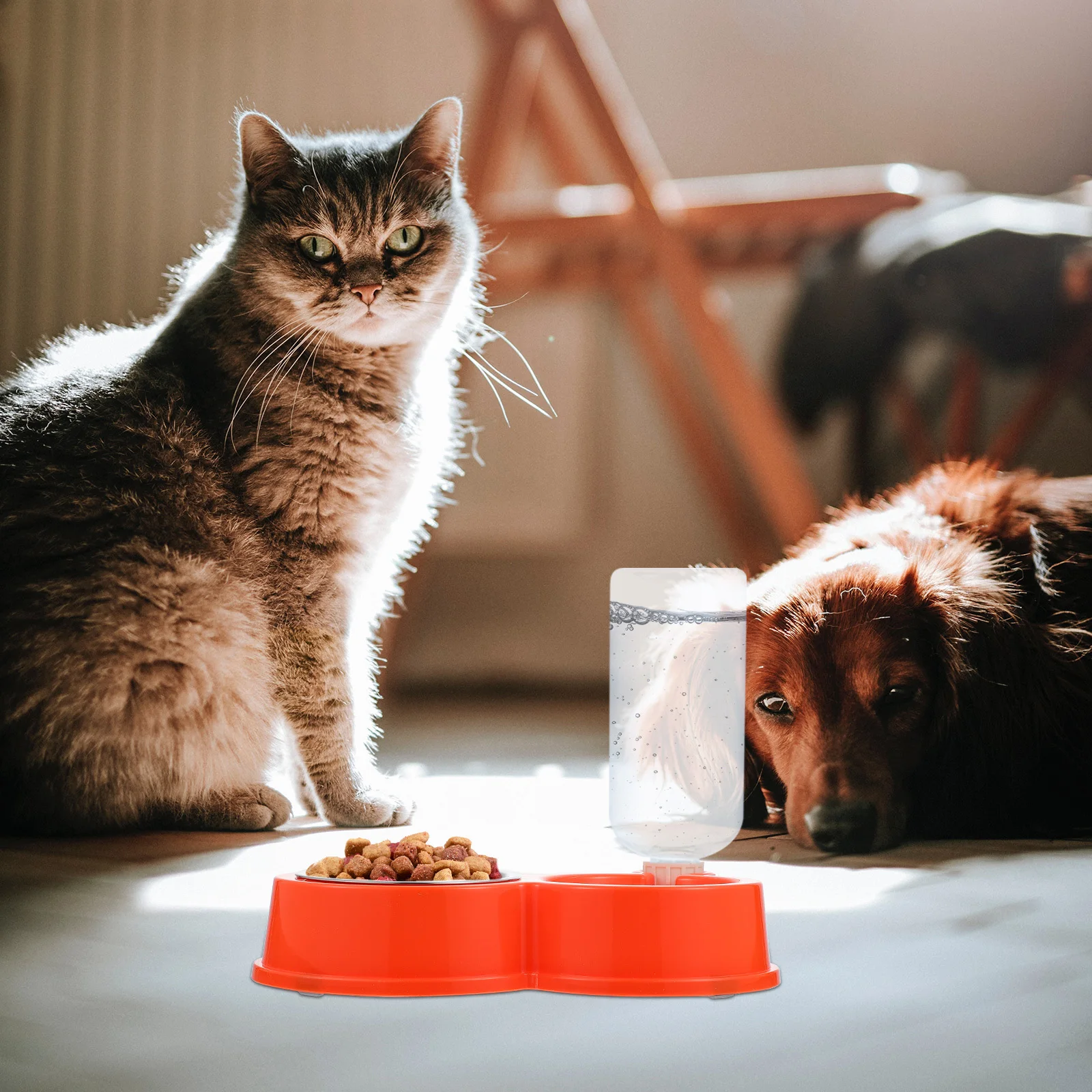 1Pcs Anti-Overturn Cat Bowl Stable Non-Slip Food Case Break-Resistant Eco-Friendly Pet Feeder Automatic Dog Cat Water Dispenser
1Pcs Anti-Overturn Cat Bowl Stable Non-Slip Food Case Break-Resistant Eco-Friendly Pet Feeder Automatic Dog Cat Water Dispenser