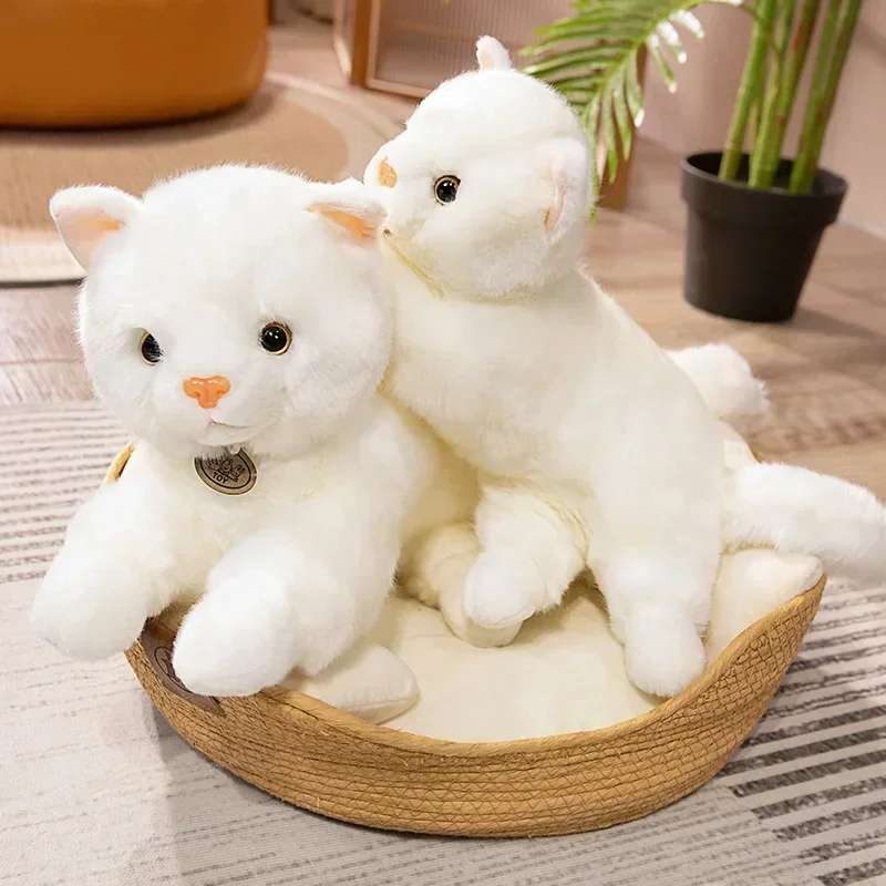 High Quality Persian Cat Plush Doll White Cat Stuffed Soft Kitten Plushie Pet Kids Toy Room Decor for Girls Xmas Gifts
High Quality Persian Cat Plush Doll White Cat Stuffed Soft Kitten Plushie Pet Kids Toy Room Decor for Girls Xmas Gifts