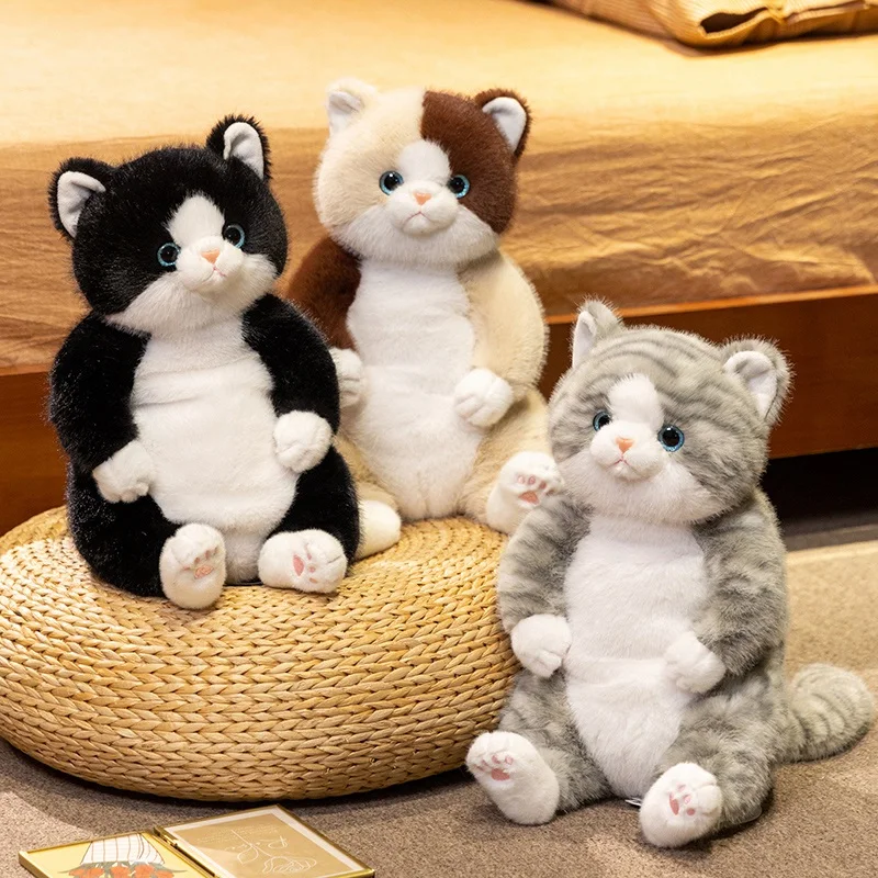 45 см креативные круглые куклы с рисунком ленивых Faty Cats, плюшевая подушка для объятий, мягкие игрушки с котенком для девочек, подарок на день рождения, декор
45 см креативные круглые куклы с рисунком ленивых Faty Cats, плюшевая подушка для объятий, мягкие игрушки с котенком для девочек, подарок на день рождения, декор