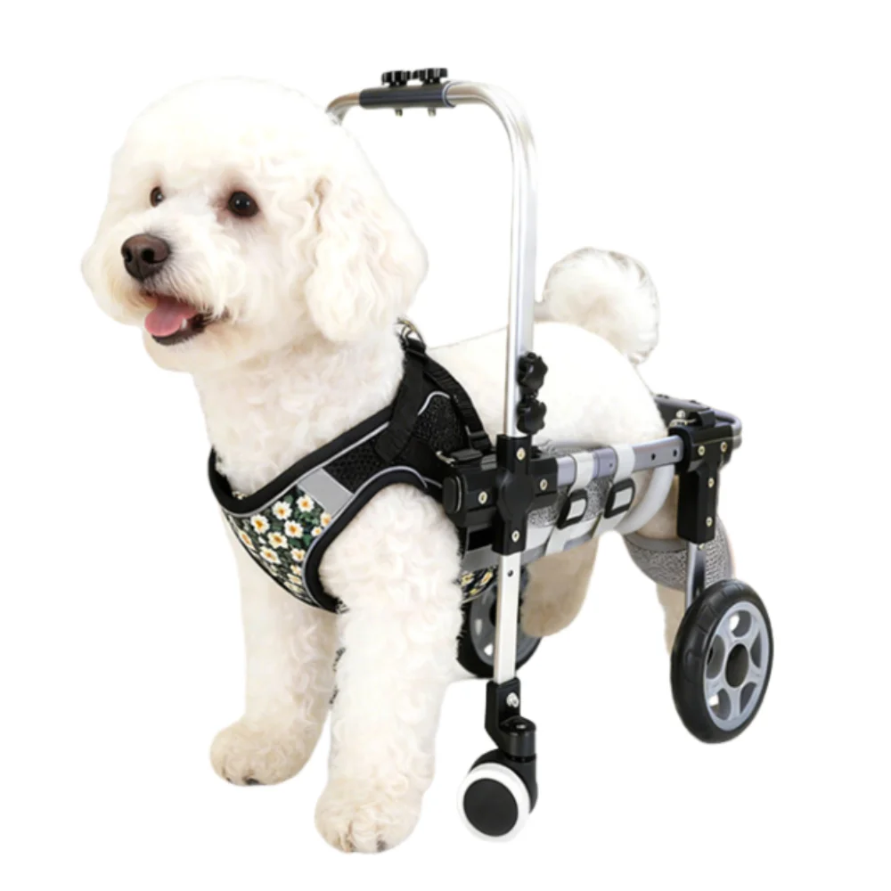 Lightweight Aluminum Pet Mobility Cart Adjustable Detachable Pet Rehabilitation Wheelchair Four-Wheel Mobility
Lightweight Aluminum Pet Mobility Cart Adjustable Detachable Pet Rehabilitation Wheelchair Four-Wheel Mobility