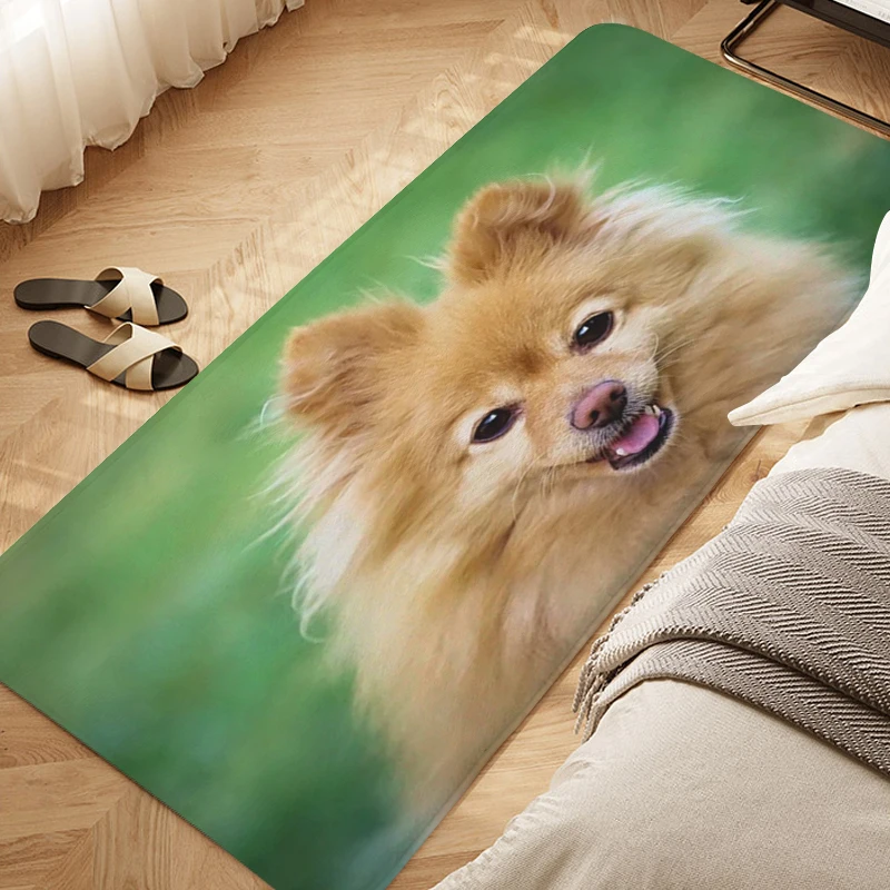 Pomeranian Dog Cute Bedroom Rug Hallway Balcony Door Mat Bathroom Carpet for Kitchen Slip-resistant Entrance Door Doormat
Pomeranian Dog Cute Bedroom Rug Hallway Balcony Door Mat Bathroom Carpet for Kitchen Slip-resistant Entrance Door Doormat