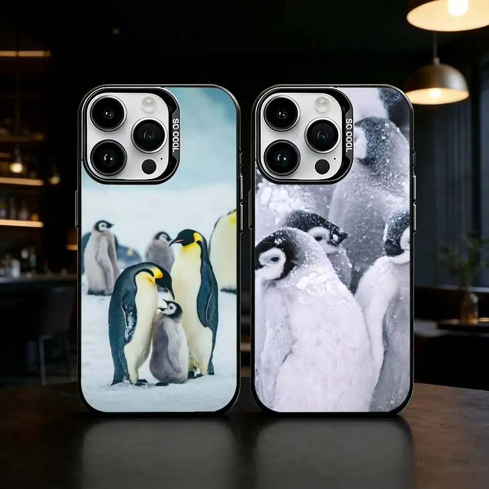 Lovely Penguin Phone Case For iPhone 17 16 15 14 13 12 11 Pro Max Plus Silver Matte Black Cover
Lovely Penguin Phone Case For iPhone 17 16 15 14 13 12 11 Pro Max Plus Silver Matte Black Cover