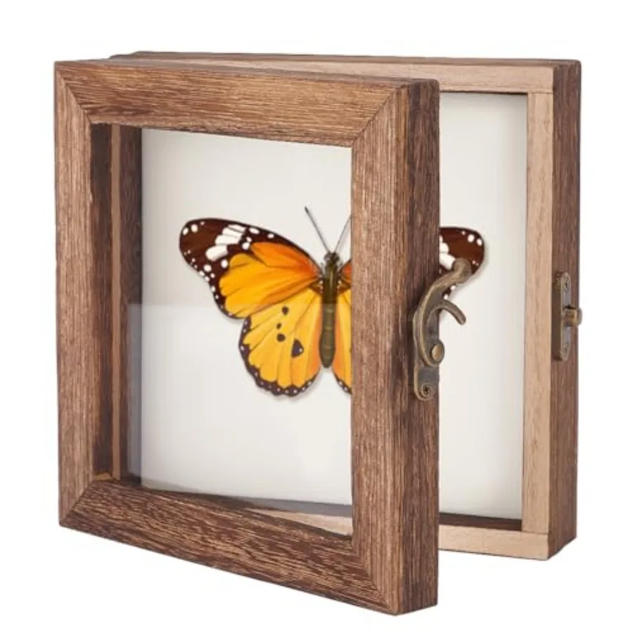 sect Display Case Shadow Bo for sect Display with Clear Top sect Specimen Storage Bo Wood Taidermy Storage Frame for Bug Butter
sect Display Case Shadow Bo for sect Display with Clear Top sect Specimen Storage Bo Wood Taidermy Storage Frame for Bug Butter