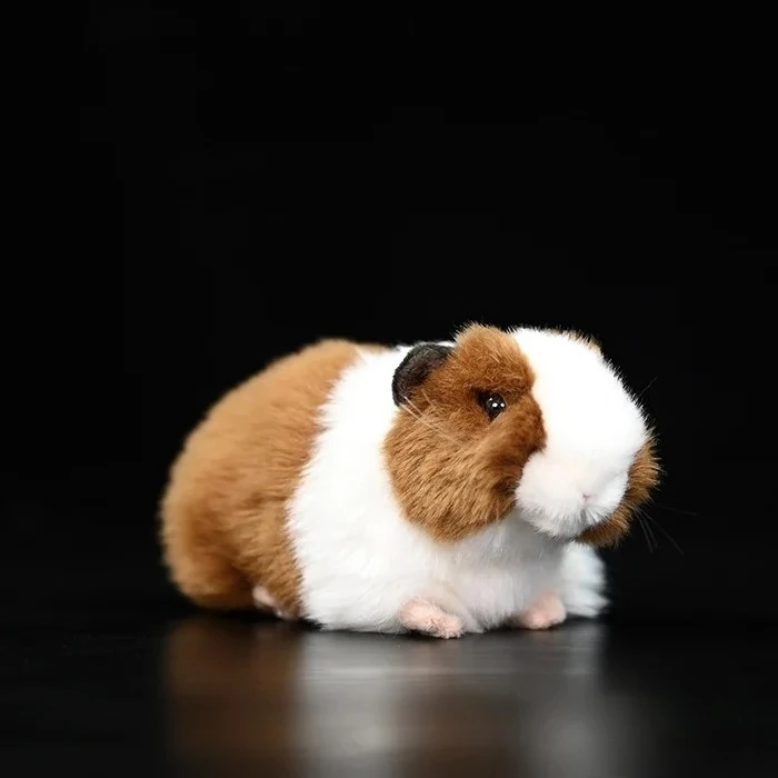 Self-service shopping without customer service - brown guinea pig doll simulation guinea pig plush toy guinea pig doll
Self-service shopping without customer service - brown guinea pig doll simulation guinea pig plush toy guinea pig doll