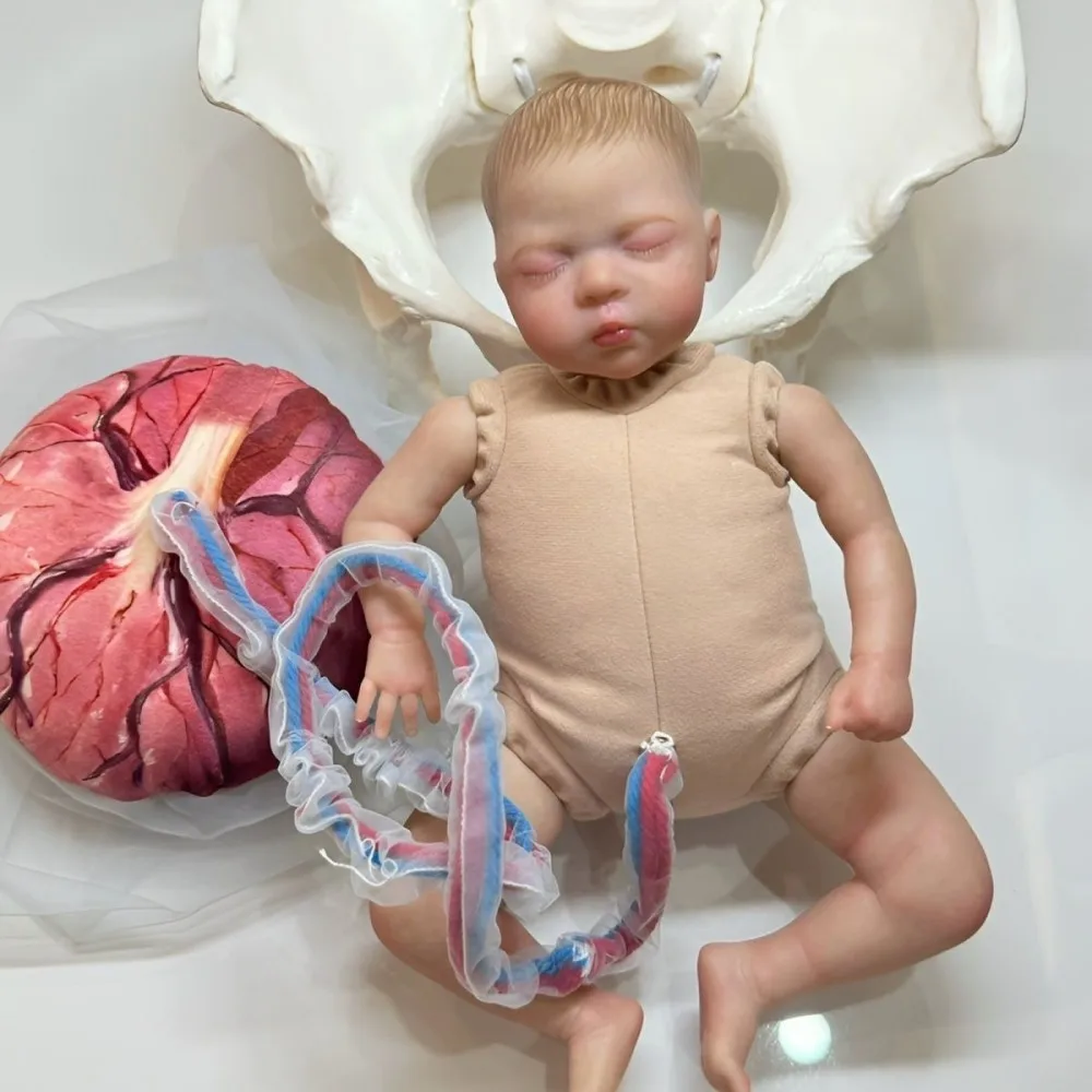 Female Pelvis Childbirth Model with Baby Umbilical Cord Placenta Teaching Anatomy Model Childbirth Demonstration Pelvis Model
Female Pelvis Childbirth Model with Baby Umbilical Cord Placenta Teaching Anatomy Model Childbirth Demonstration Pelvis Model