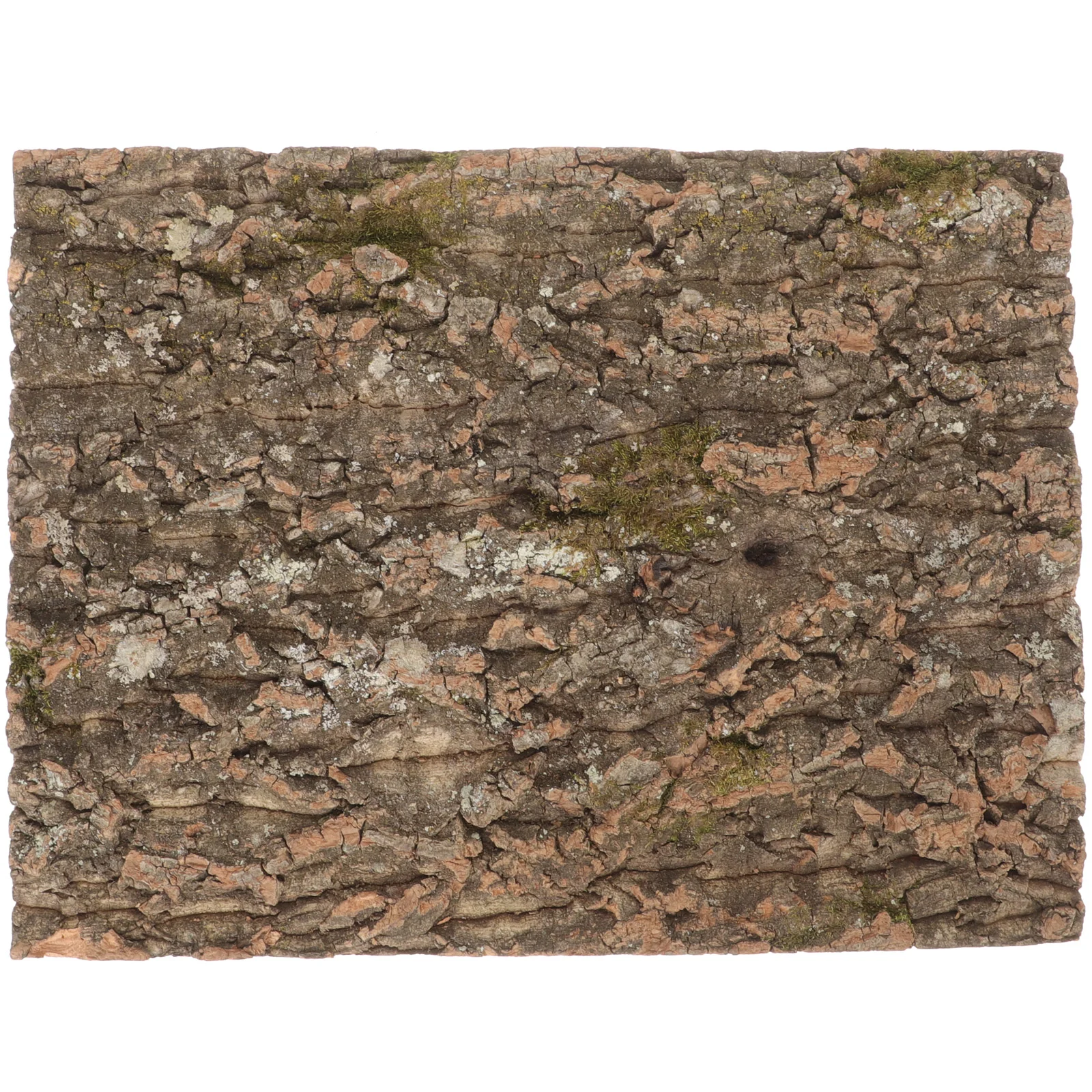 Cork Bark Reptile Basking Platform Terrarium Leopard Print Gecko Costume Decor Coffee Lizard Climbing
Cork Bark Reptile Basking Platform Terrarium Leopard Print Gecko Costume Decor Coffee Lizard Climbing