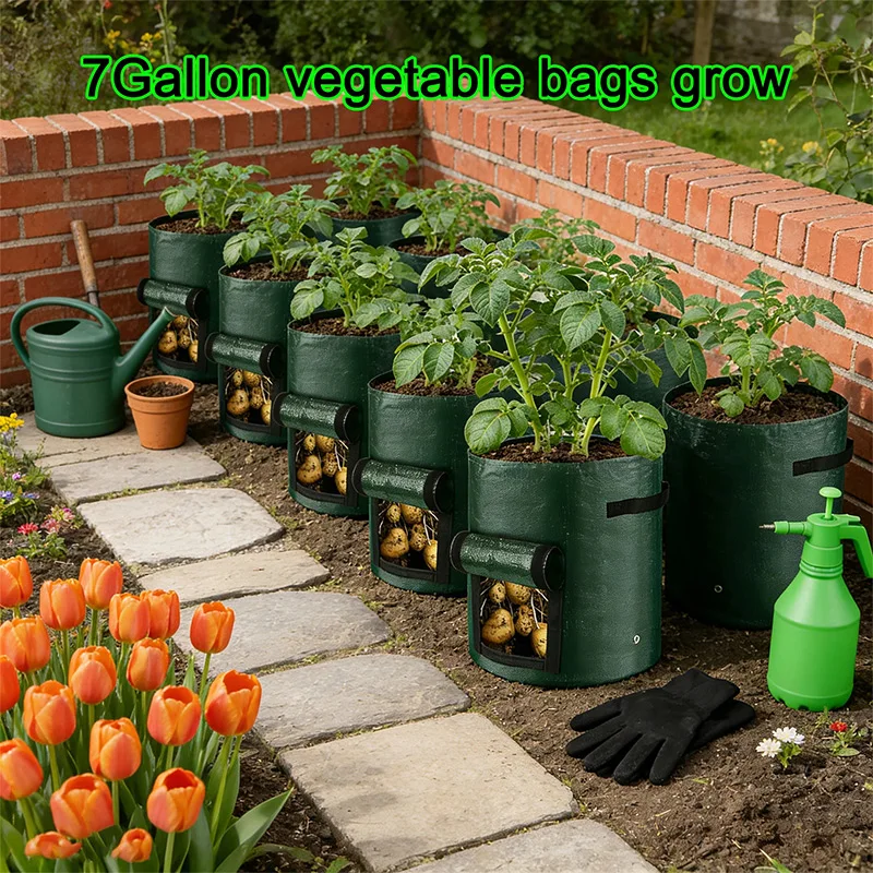 PE Potato Plant Bag Round Dark Green Breathable Plant Flower Pot Vegetable Planting Bucket Plant Basin Outdoor For Garden
PE Potato Plant Bag Round Dark Green Breathable Plant Flower Pot Vegetable Planting Bucket Plant Basin Outdoor For Garden