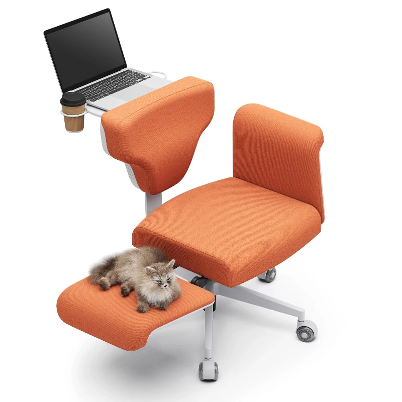 Free chair computer office chair, single sofa chair, casual pet swivel chair
Free chair computer office chair, single sofa chair, casual pet swivel chair