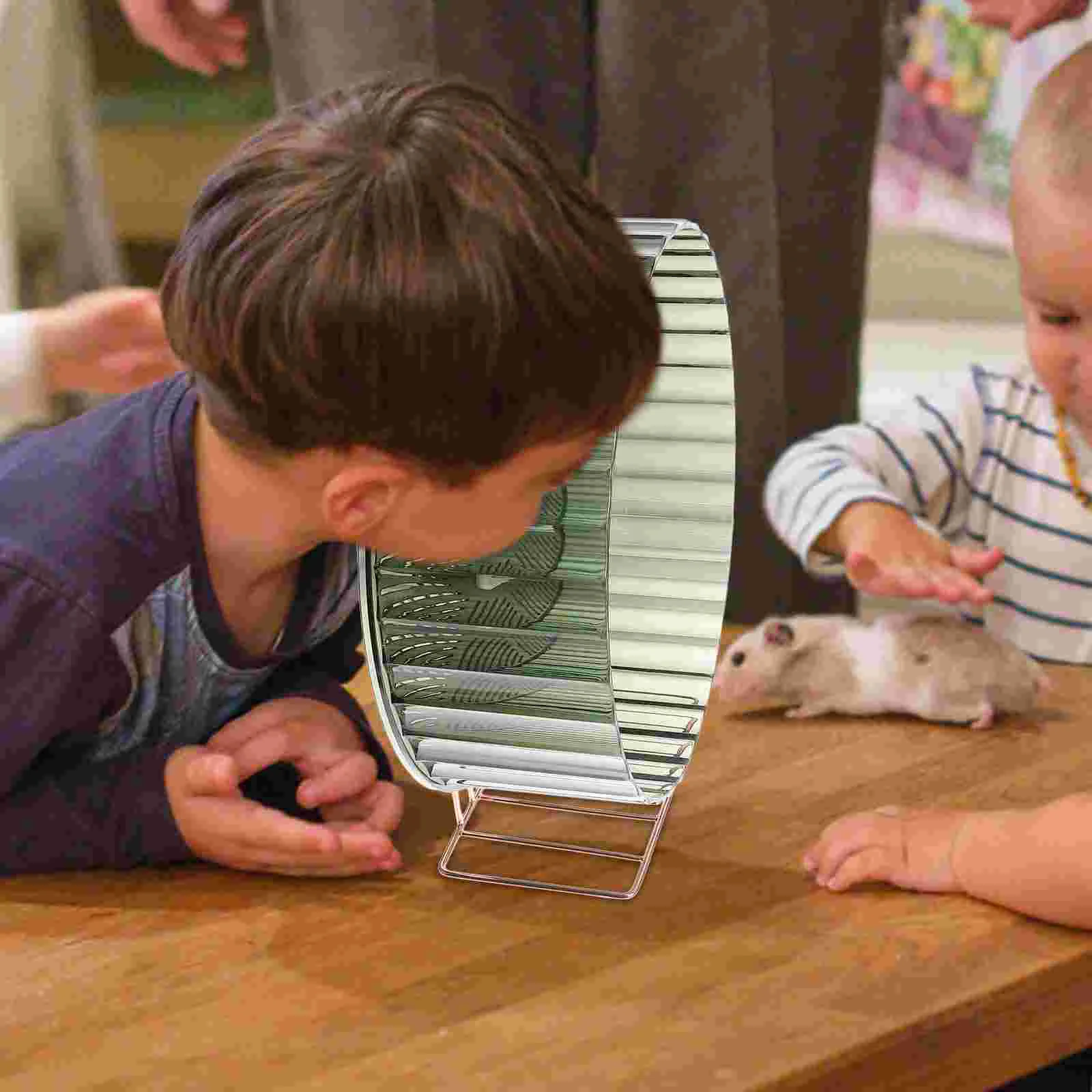 Hamster Running Wheel Small Toy Supply Cage Chinchilla Toys Rat Decorative Hedgehog Bracket
Hamster Running Wheel Small Toy Supply Cage Chinchilla Toys Rat Decorative Hedgehog Bracket