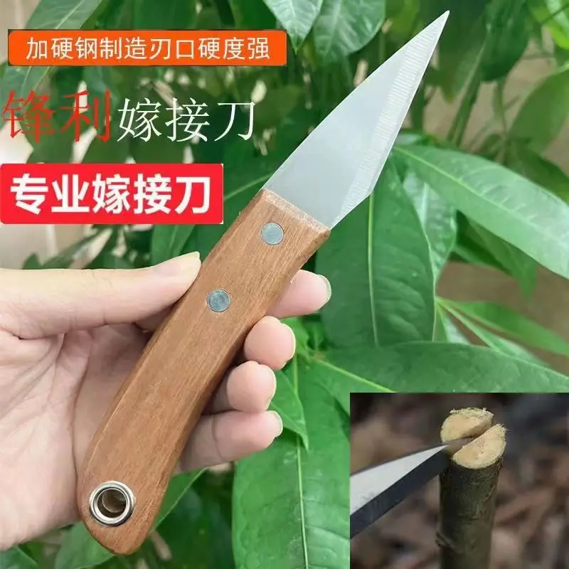 Grafting Knife - Special Steel Budding Tool for Fruit Trees & Plants
Grafting Knife - Special Steel Budding Tool for Fruit Trees & Plants
