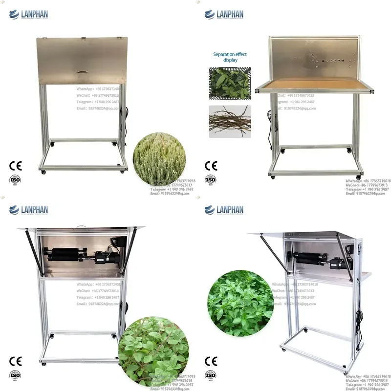 Stem and Leaf Separator
Stem and Leaf Separator