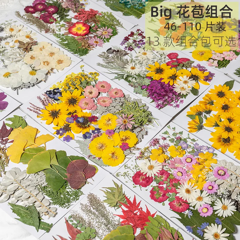 Dry flower bag, real flower drop glue phone case, handcrafted fan, greeting card bookmark, flower material, rose leaves, large
Dry flower bag, real flower drop glue phone case, handcrafted fan, greeting card bookmark, flower material, rose leaves, large