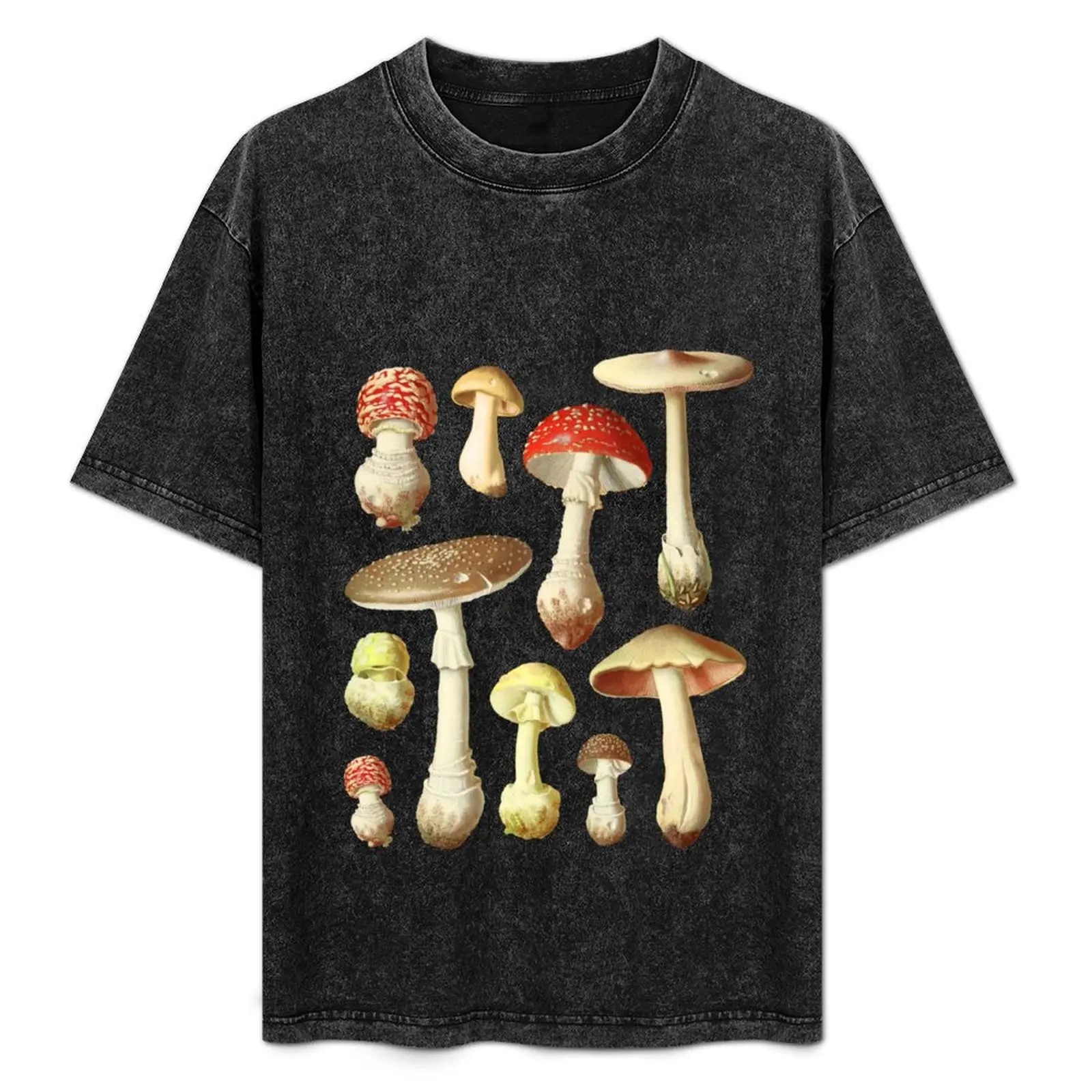 Cottagecore Aesthetic Vintage Mycology: Cute Mushrooms, Grunge Fairycore Fungi, Forest Themed Goblincore T-Shirt
Cottagecore Aesthetic Vintage Mycology: Cute Mushrooms, Grunge Fairycore Fungi, Forest Themed Goblincore T-Shirt