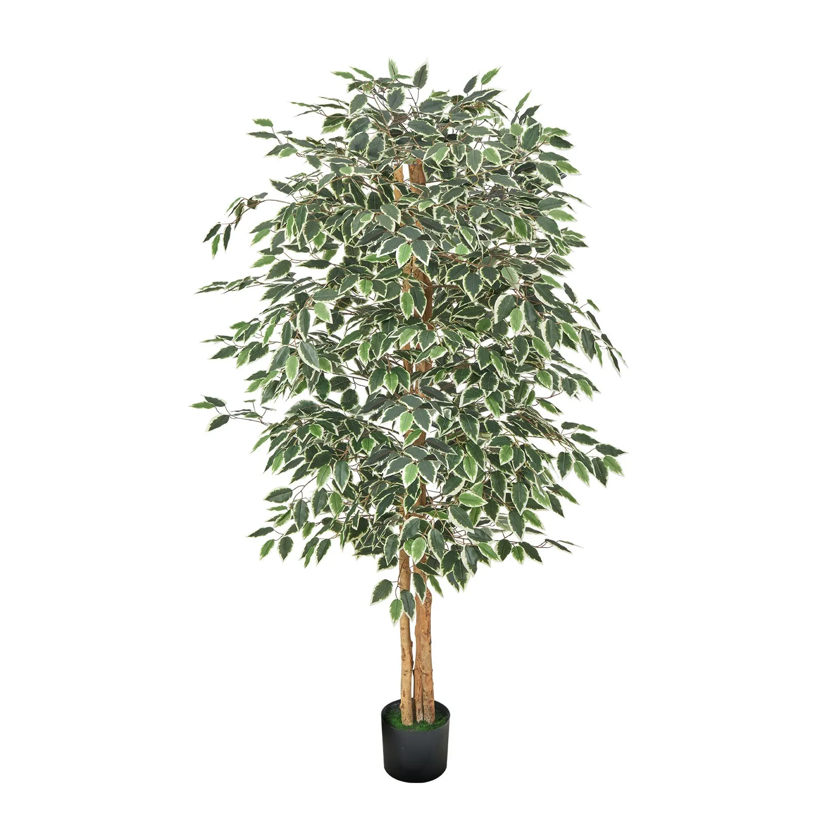 Artificial Trees and Plants for Interior Decoration
Artificial Trees and Plants for Interior Decoration