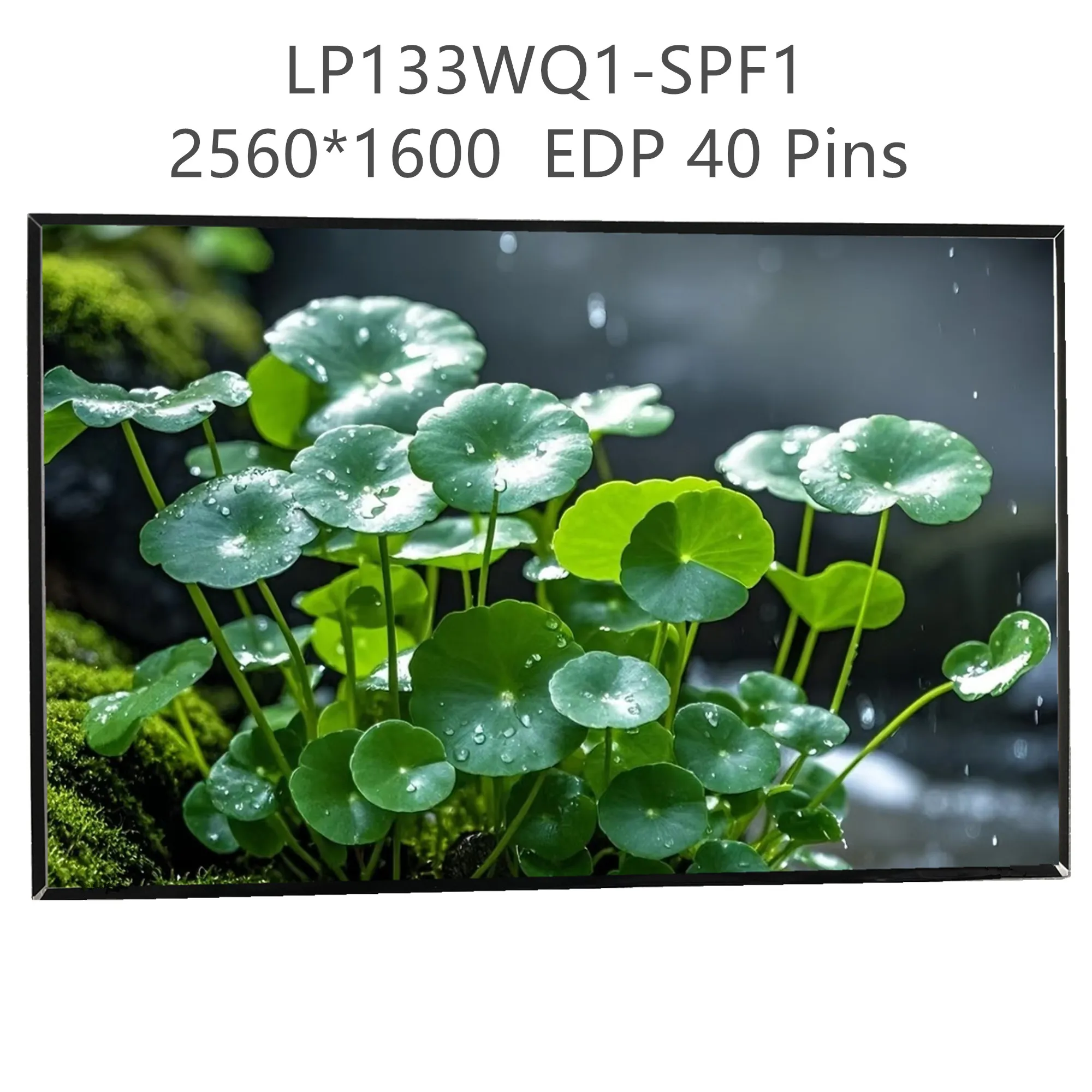 LP133WQ1-SPF1 LP133WQ1 SPF1 13.3'' Laptop LCD Screen Display Panel 2560*1600 EDP 40 Pins
LP133WQ1-SPF1 LP133WQ1 SPF1 13.3'' Laptop LCD Screen Display Panel 2560*1600 EDP 40 Pins