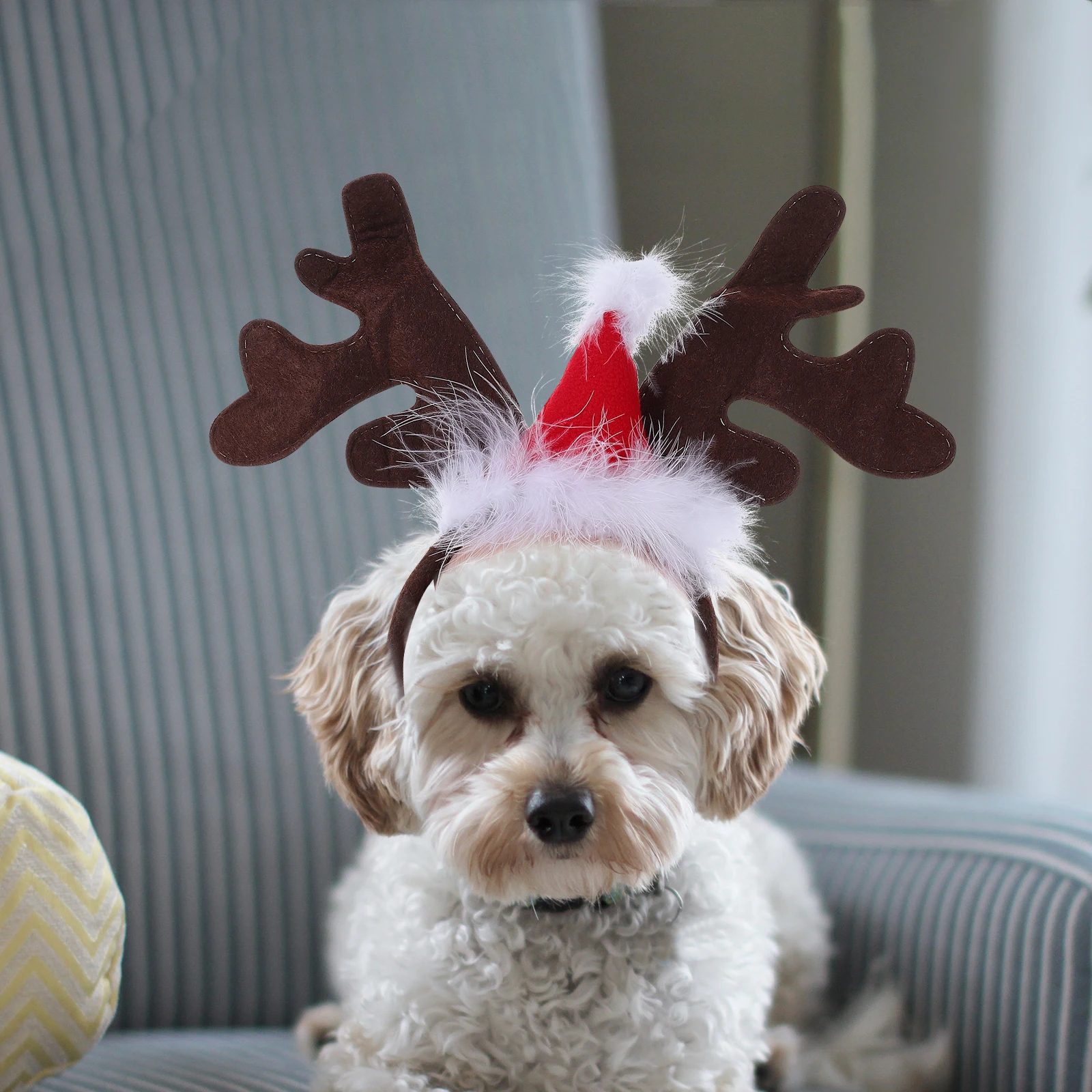 1 set Festive Elk Headband Short Christmas Dog Costume Adjustable Puppy Headdress Party Scarf Set Decoration Clothes Headwear
1 set Festive Elk Headband Short Christmas Dog Costume Adjustable Puppy Headdress Party Scarf Set Decoration Clothes Headwear