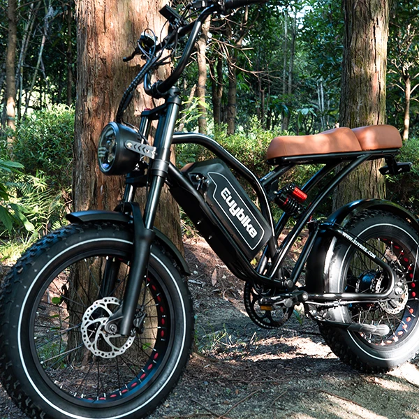 20x4.0 Fat Tire Ebike 1000w Fat Tire Fat Tire Mountain Bike Ebike 20 Inch Fatbike 250w Cruiser Bikes
20x4.0 Fat Tire Ebike 1000w Fat Tire Fat Tire Mountain Bike Ebike 20 Inch Fatbike 250w Cruiser Bikes