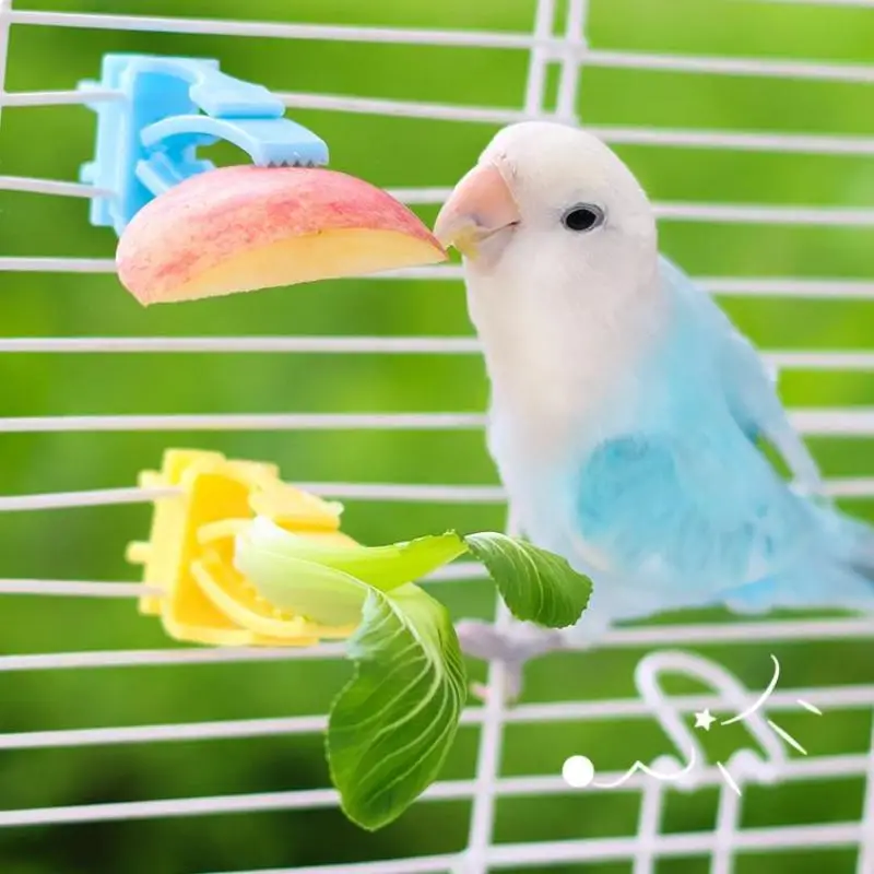 ⭐ 2/4Pcs Pet Bird Food Holder Parrot Fruits Vegetables Clip Bracket Cuttlefish Bone Feeder Device Clamp Bird Cage Accessories
⭐ 2/4Pcs Pet Bird Food Holder Parrot Fruits Vegetables Clip Bracket Cuttlefish Bone Feeder Device Clamp Bird Cage Accessories
