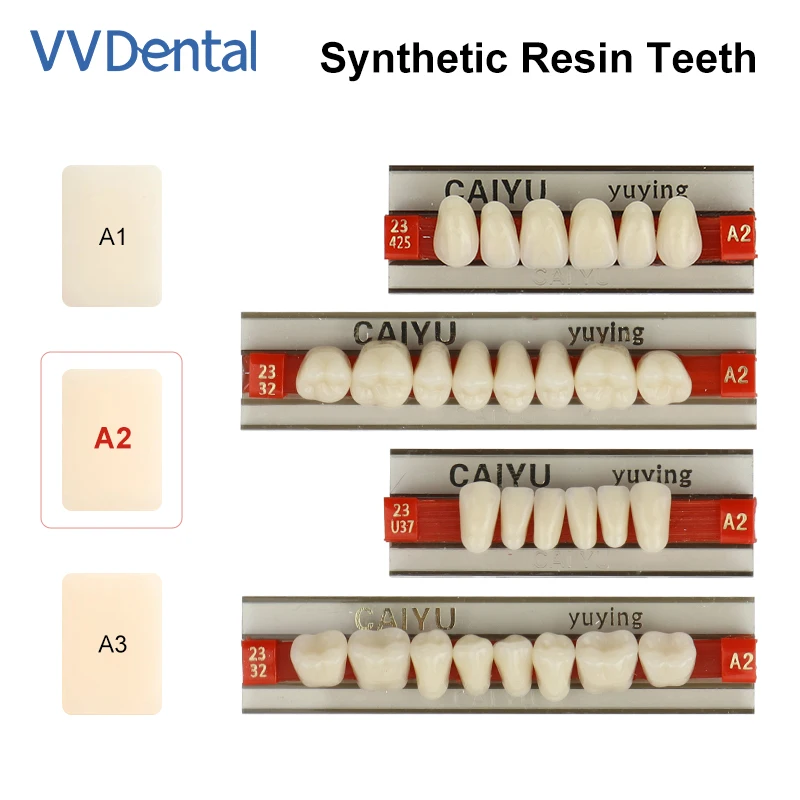  VV Dental 96 шт. в коробке зубы верхние передние нижние задние зубы синтетическая полимерная смола стоматологическая образовательная модель среднего размера
VV Dental 96 шт. в коробке зубы верхние передние нижние задние зубы синтетическая полимерная смола стоматологическая образовательная модель среднего размера