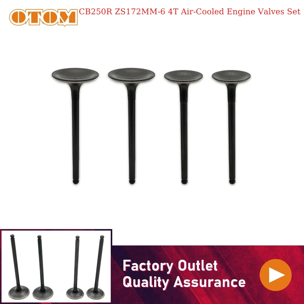 Motorcycle Intake Exhaust Valves Kit For ZONGSHEN CB250R ZS172MM-6 4-stroke 4 Valve Air-Cooled Engine Accessories Dirt Bike Part
Motorcycle Intake Exhaust Valves Kit For ZONGSHEN CB250R ZS172MM-6 4-stroke 4 Valve Air-Cooled Engine Accessories Dirt Bike Part
