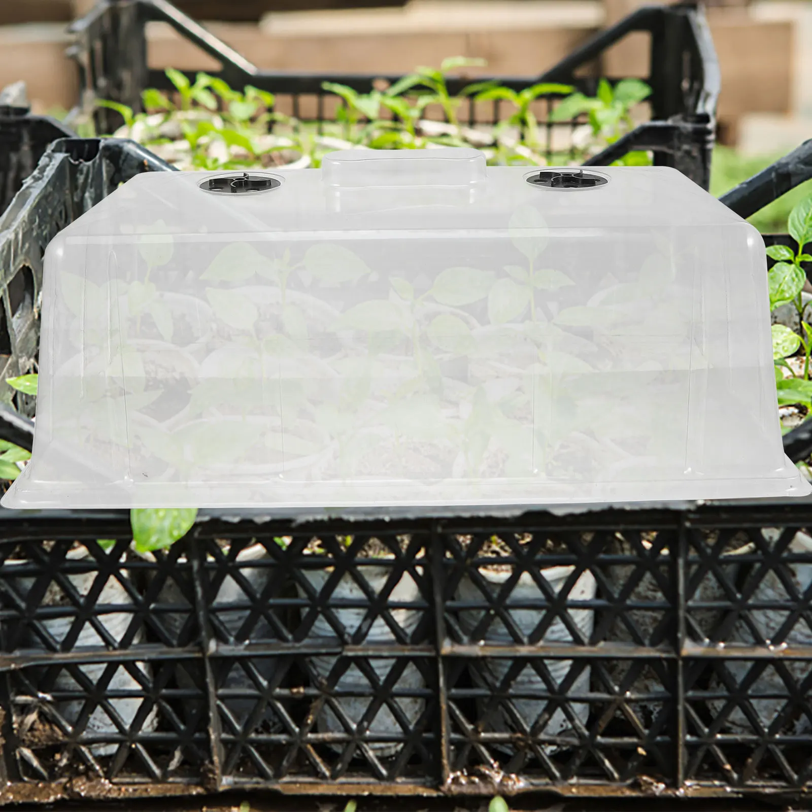 Plant Nursery Pots Heat Preservation Plastic Lid Dome Lightweight Durable Gardening Moisturizing Cover Germination
Plant Nursery Pots Heat Preservation Plastic Lid Dome Lightweight Durable Gardening Moisturizing Cover Germination