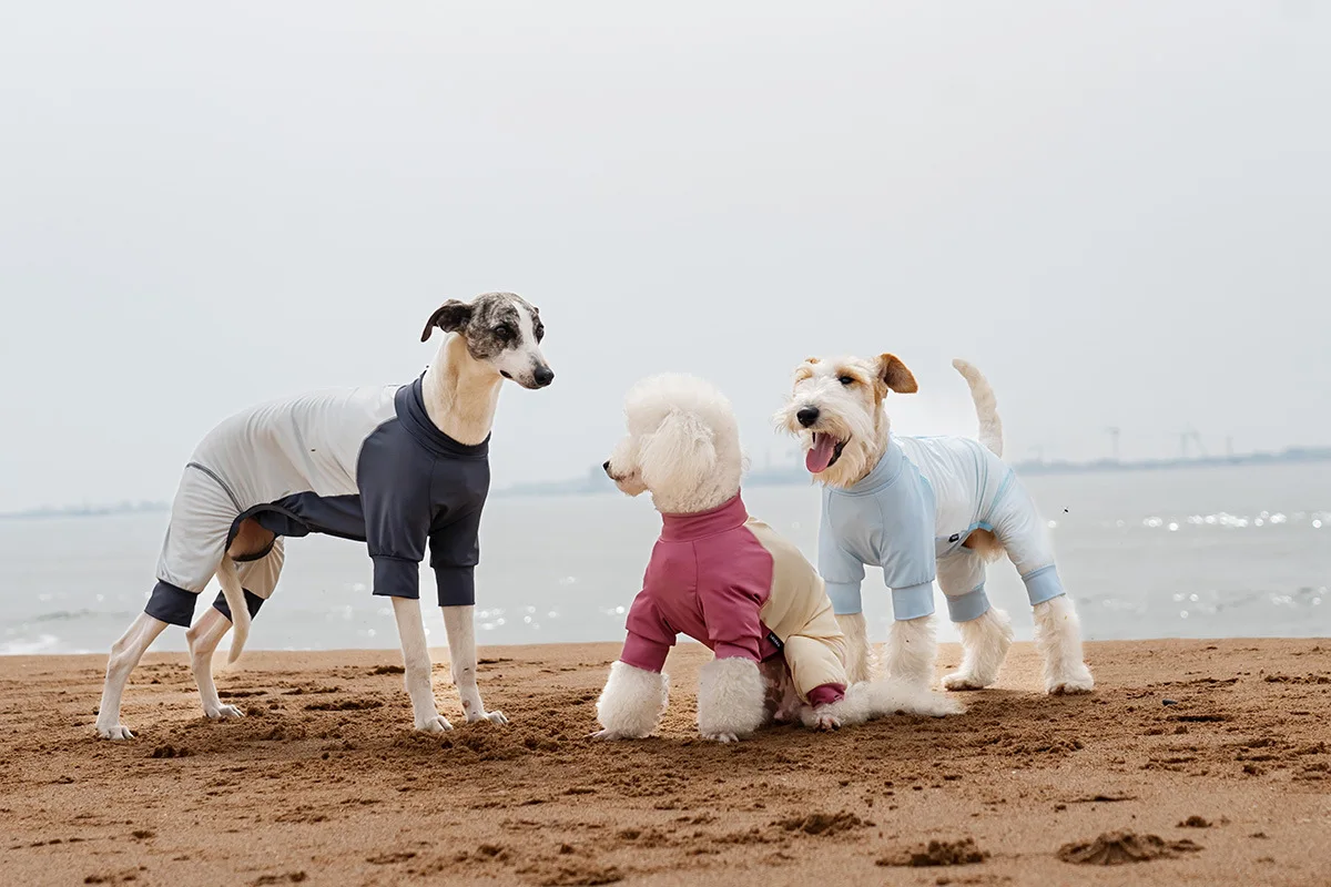 Dog Cool Sunscreen Four Cornered Clothing Outdoor Protective Clothing for Small and Medium Sized Dogs Unisex
Dog Cool Sunscreen Four Cornered Clothing Outdoor Protective Clothing for Small and Medium Sized Dogs Unisex