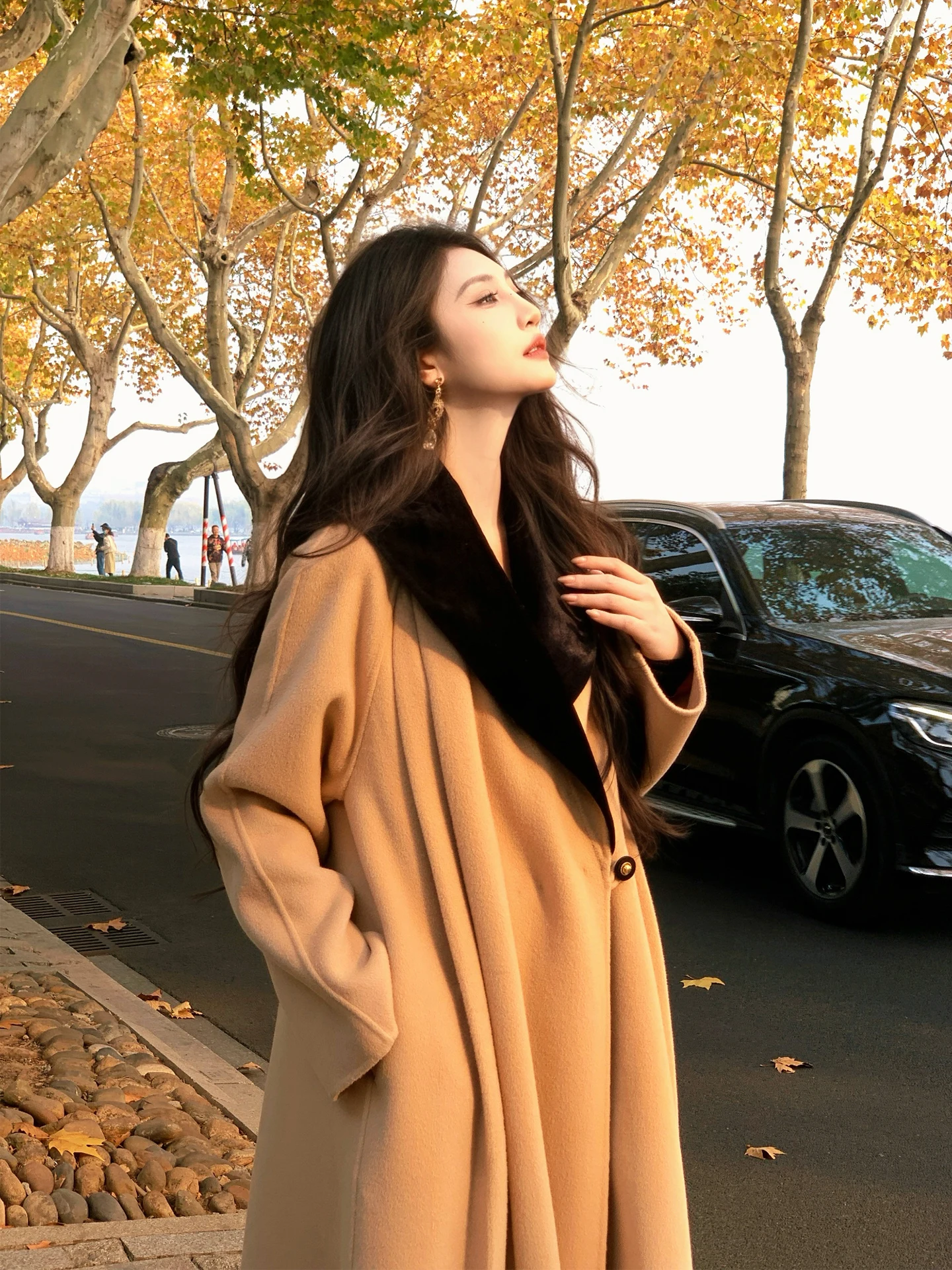 Detachable Hepburn Sle Double-Faced Woolen Velvet Coat for Women Bla Wool Outerwear Long Sve Mid-Length Casual Wear
Detachable Hepburn Sle Double-Faced Woolen Velvet Coat for Women Bla Wool Outerwear Long Sve Mid-Length Casual Wear
