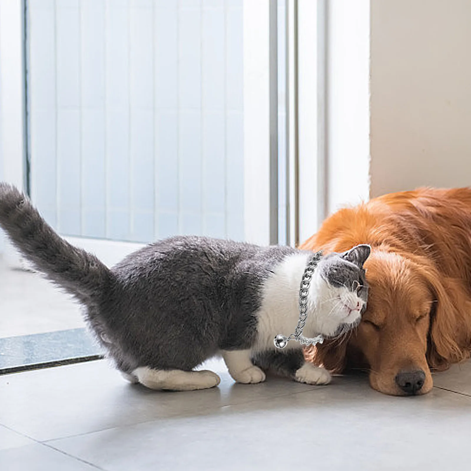 Aluminum Alloy Pet Collar Silver Bell for Cats Dogs Adjustable Size Kitten Chain Puppy Accessories Cat Dog Collar Metal Pet
Aluminum Alloy Pet Collar Silver Bell for Cats Dogs Adjustable Size Kitten Chain Puppy Accessories Cat Dog Collar Metal Pet